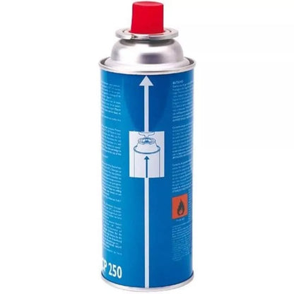 Campingaz - Cartouche à valve isobutane CP250